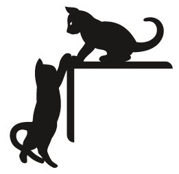 Chat Claire Jpeg