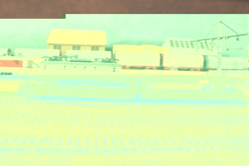 004.JPG