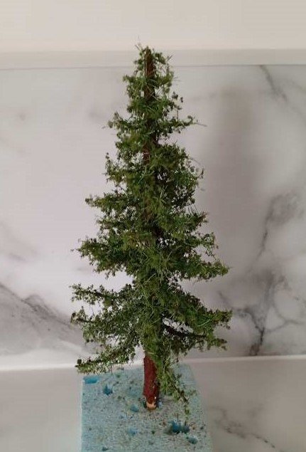 1 Sapin.JPG
