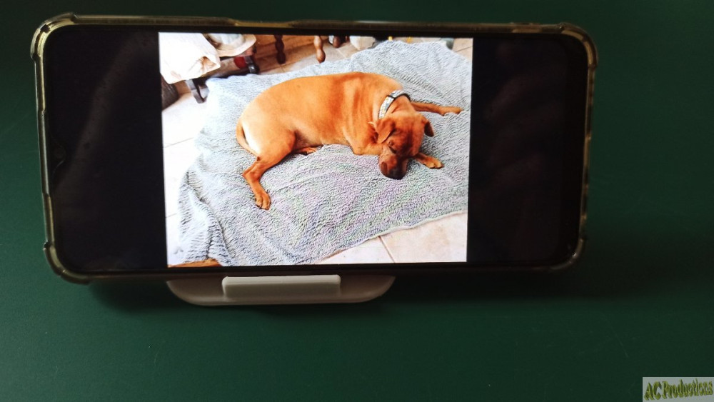 Support à 4 inclinaisons pour smartphone