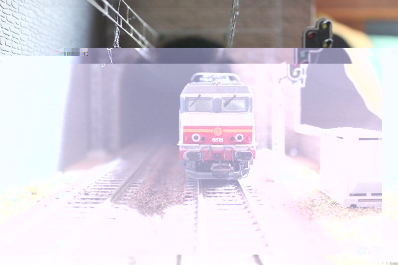 003.JPG